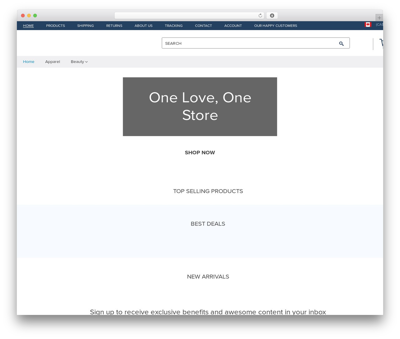 Best WordPress theme Raphael - fashionmira.com