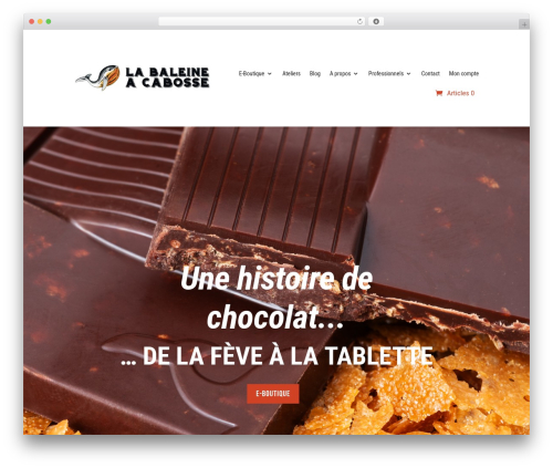 Checkout field editor and manager for woocommerce pro WordPress plugin - www.labaleineacabosse.com