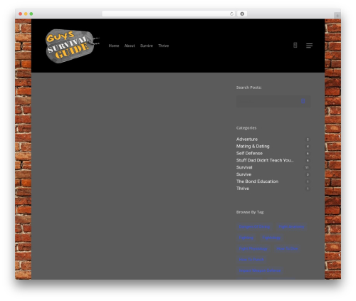 Slidedeck2 personal WordPress plugin - guyssurvivalguide.com