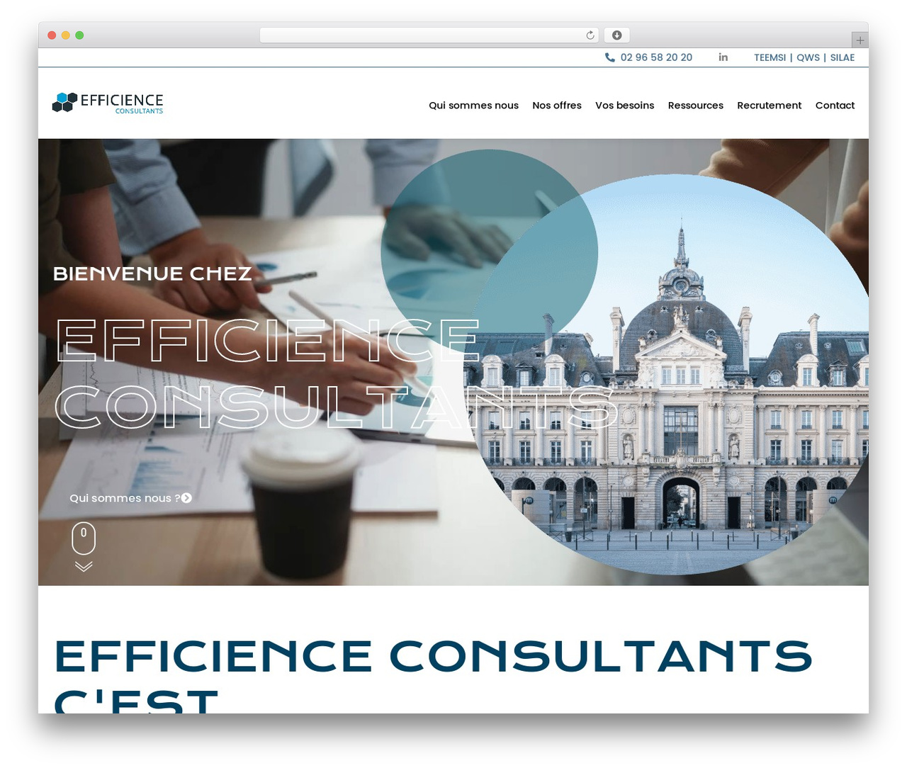 Portail WordPress theme - efficienceconsultants.com