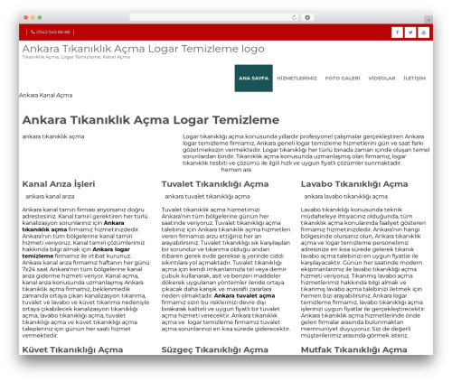 Spirited Pro WordPress theme design - ankaralogartemizleme.com