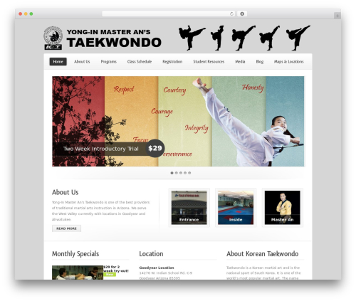 Theme WordPress Limon - WordPress Edition - aztaekwondoworld.com