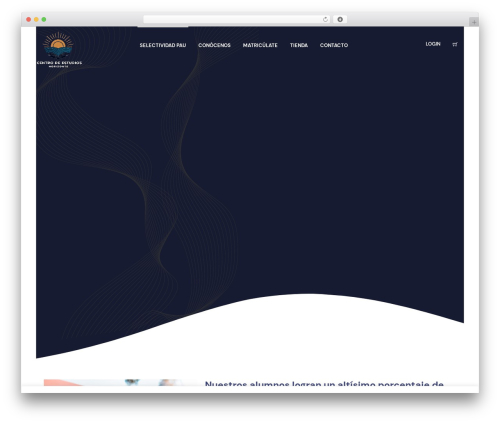 Vibe zoom WordPress plugin - academiahorizonte.com