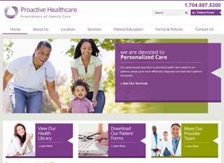 WordPress website theme Basic D