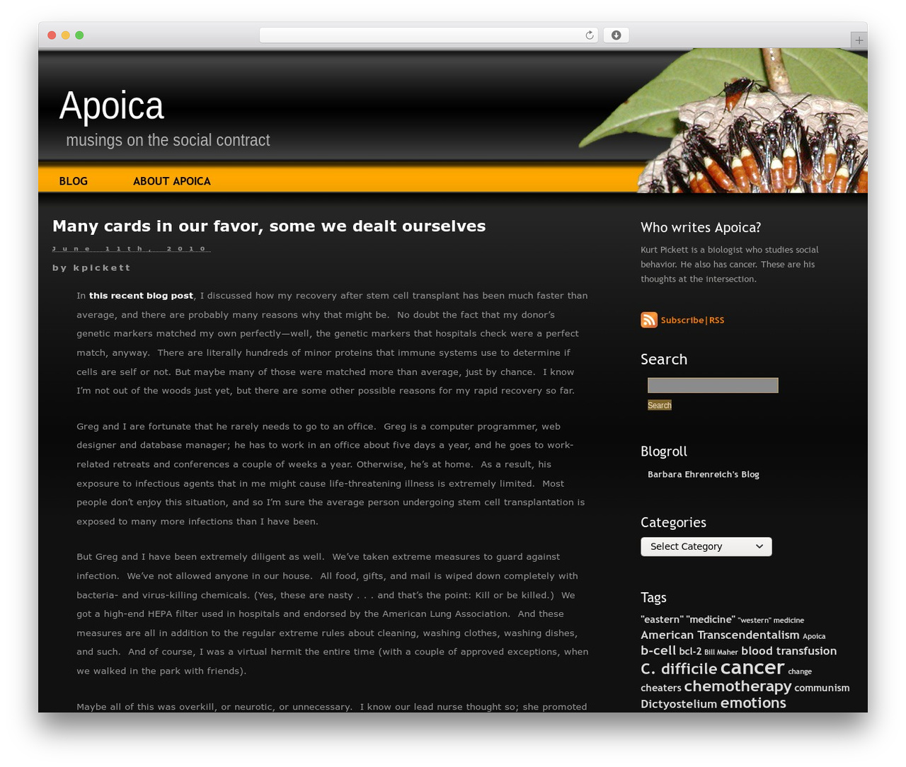 Layers WordPress theme - apoica.com