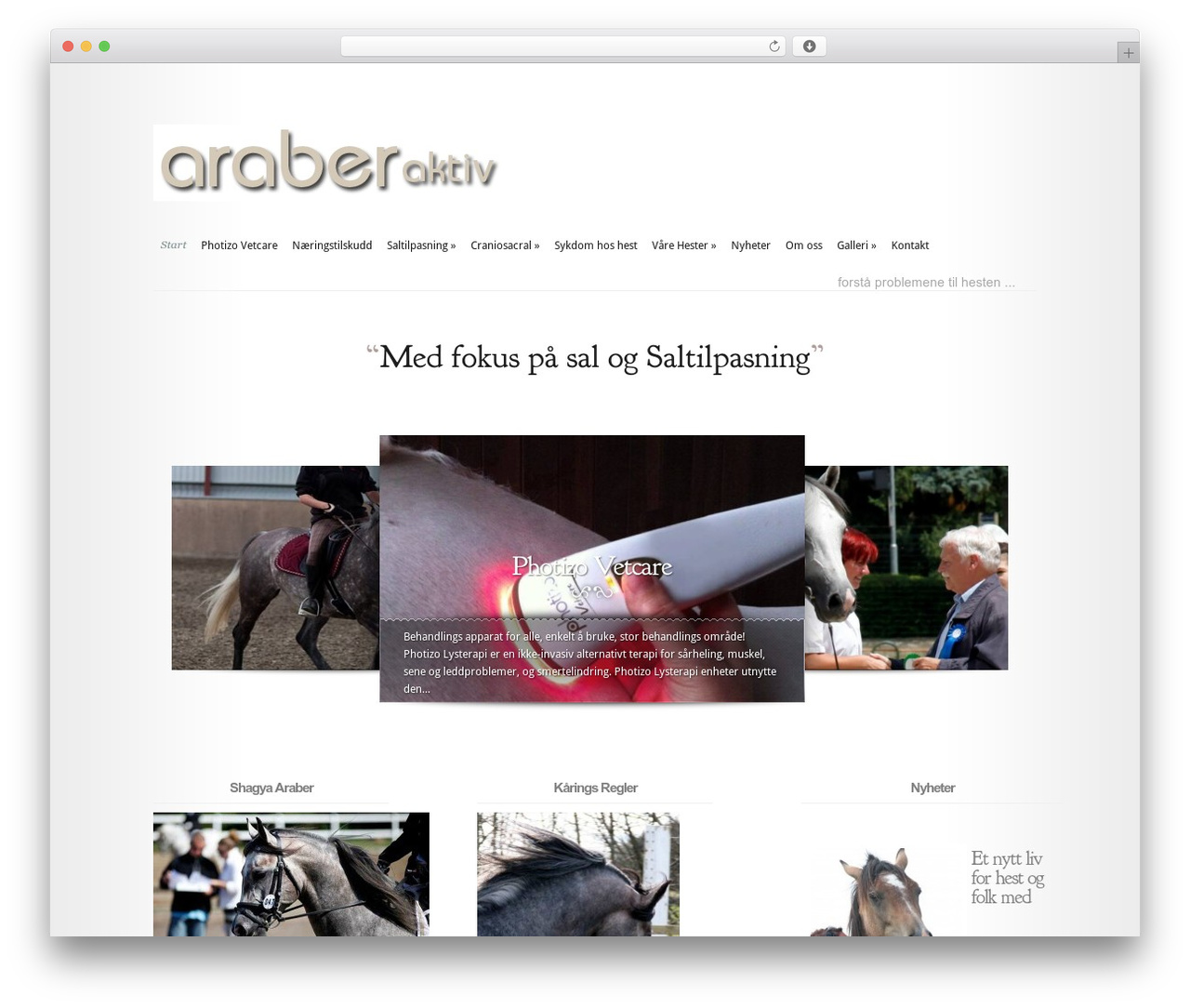 Modest theme WordPress - araberaktiv.com