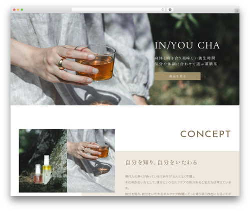 Theme WordPress ystandard - megurie.net