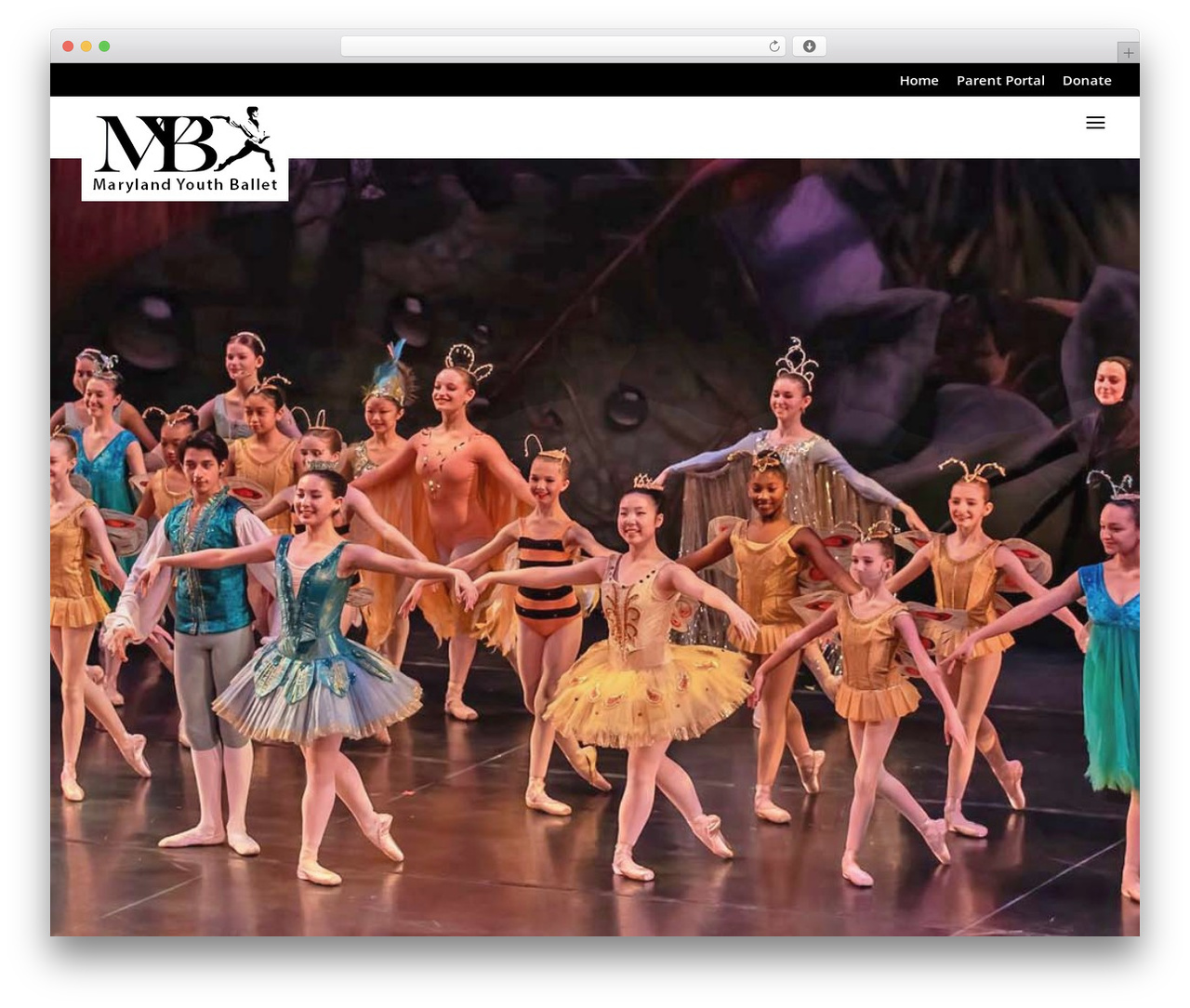 WordPress theme Divi - marylandyouthballet.org