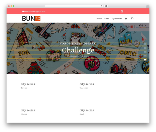 WordPress theme Divi - bunstudioshop.com
