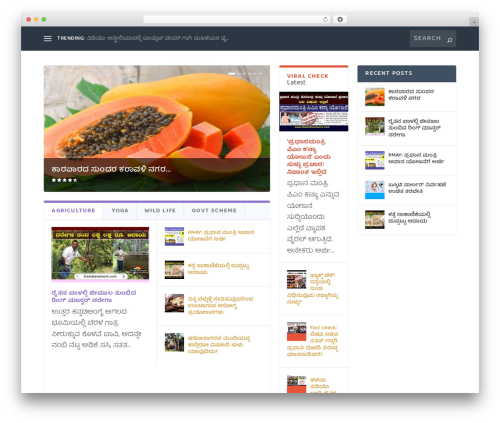 Extra theme WordPress - thestatenetwork.com