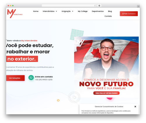 Form Masks for Elementor (form-masks-for-elementor) free WordPress plugin - myintercambio.com.br