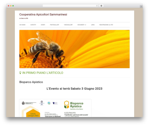 Tiny Framework free WordPress theme - api-rsm.org