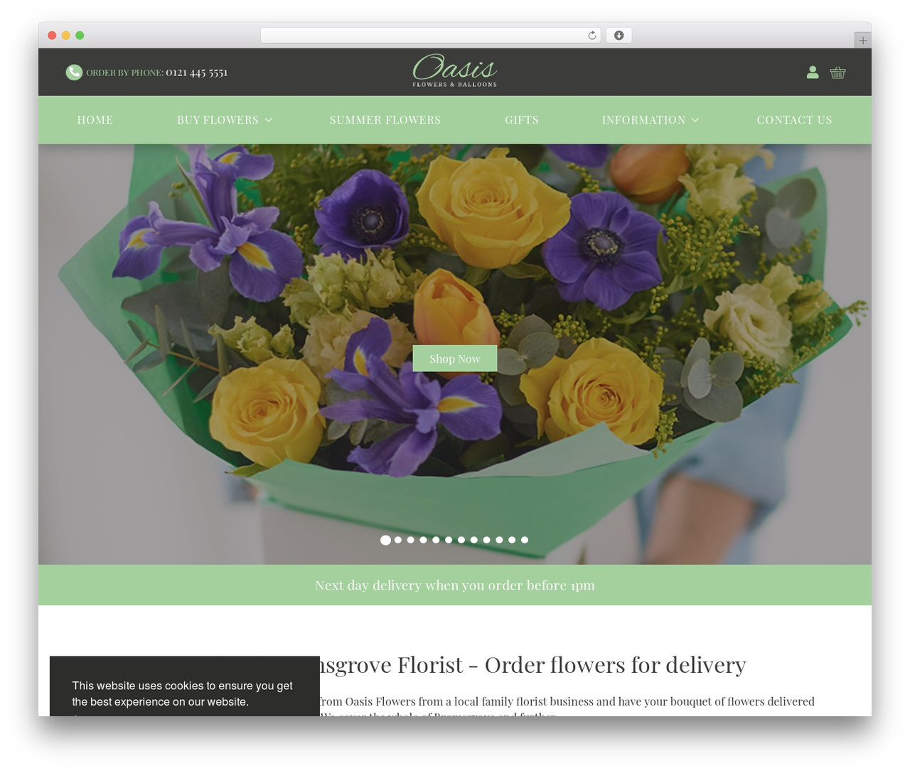 WordPress theme Platform81 Theme - oasisflowersandballoons.com WordPress theme Platform81 Theme - oasisflowersandballoons.com