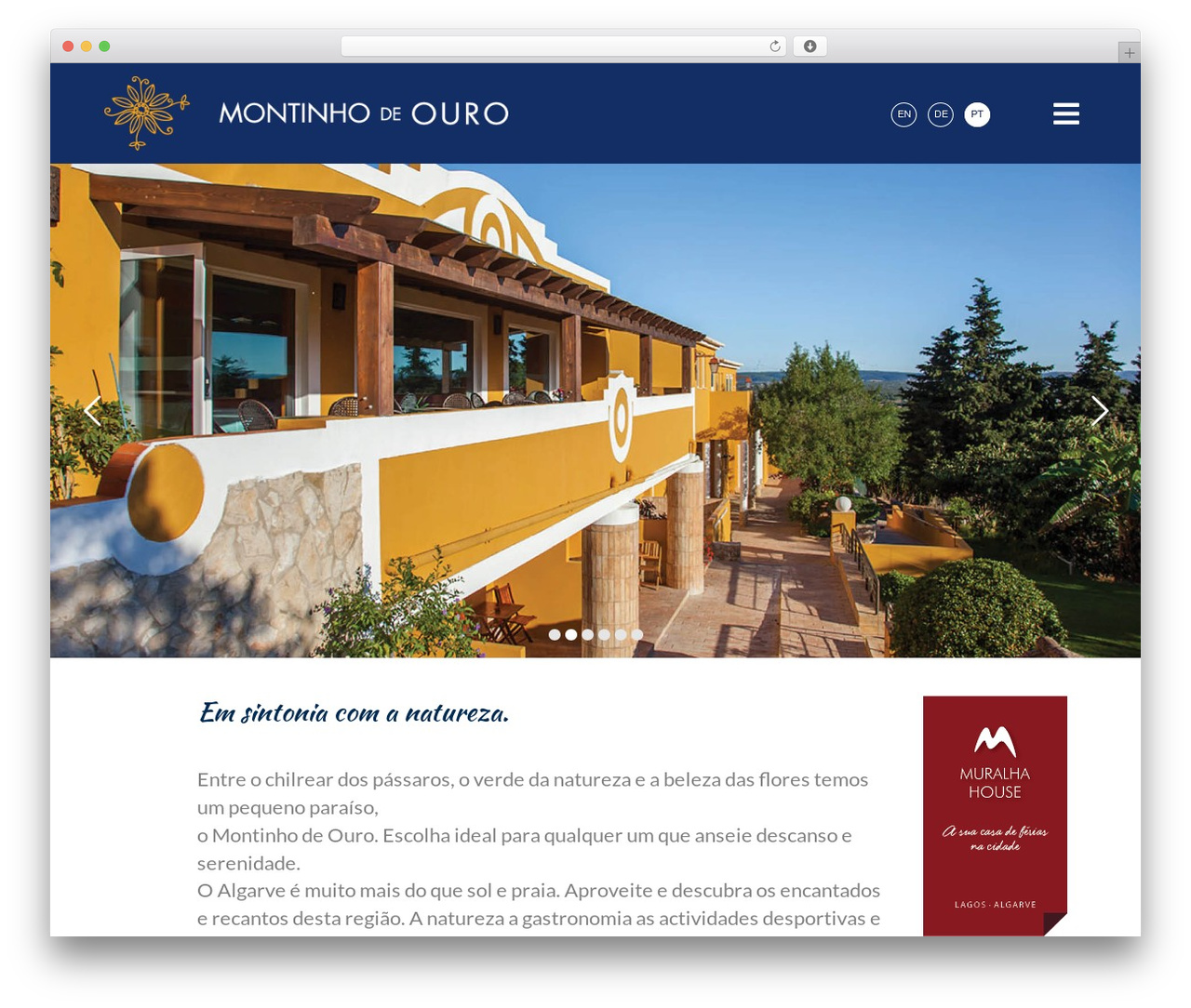 bb-theme WordPress theme - montinhodeouro.com