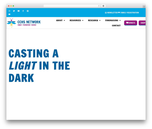 CCHS Network Theme WordPress theme - cchsnetwork.org