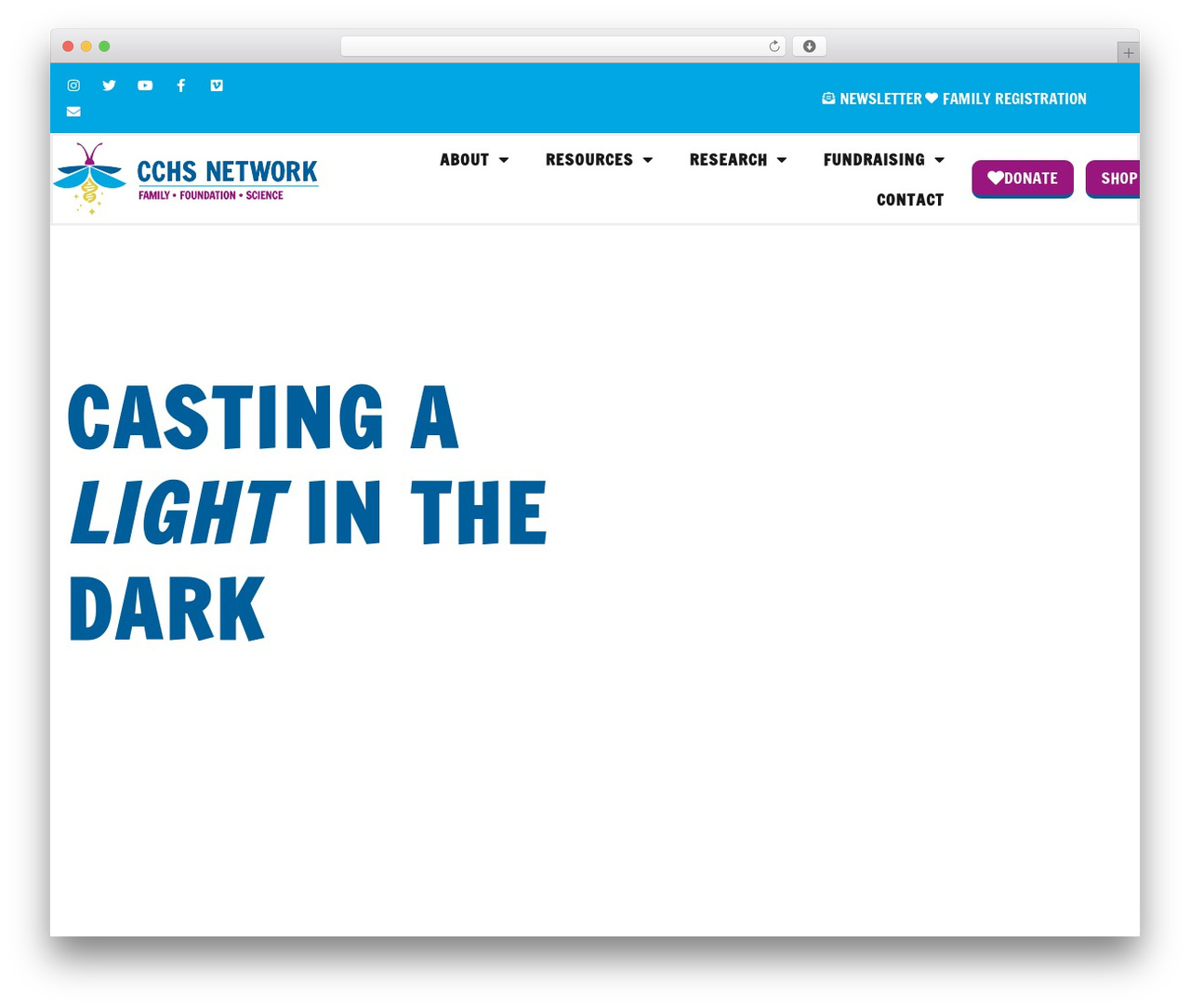 CCHS Network Theme WordPress theme - cchsnetwork.org