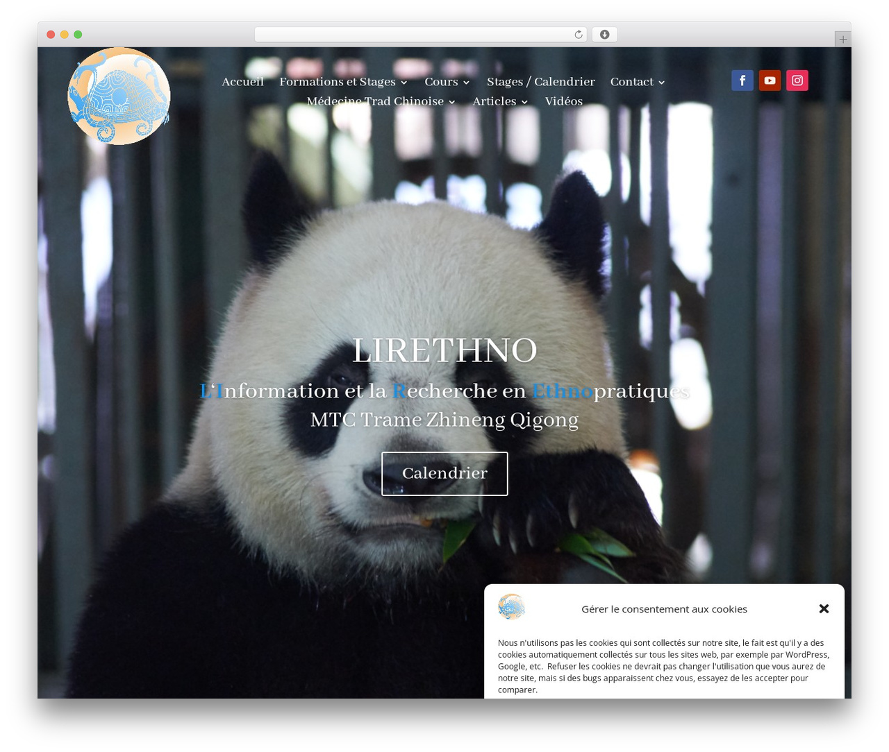 Divi WordPress theme - lirethno.com Divi WordPress theme - lirethno.com
