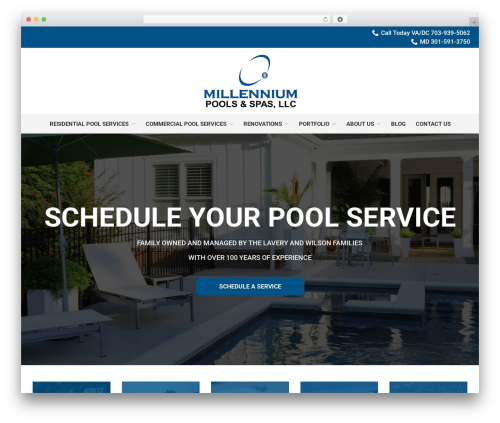 Reach Local top WordPress theme - millenniumpool.com