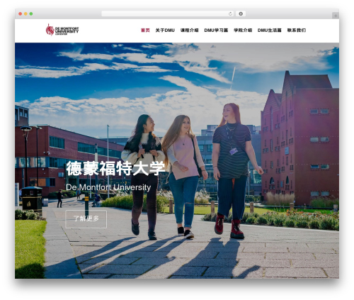 Theme WordPress ppd - dmuchina.cn
