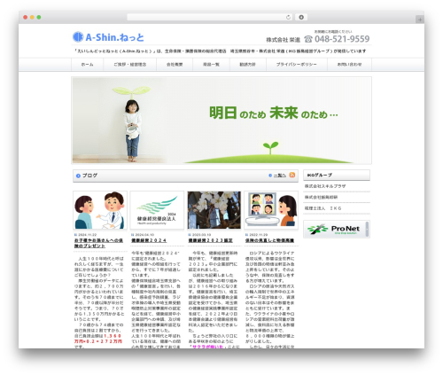 WordPress theme Basic - a-shin.net