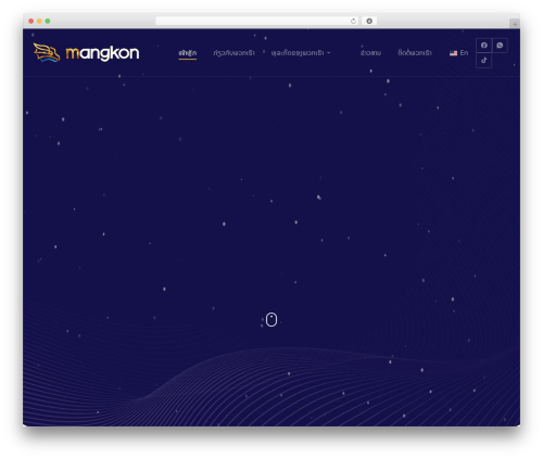 Socialfeeds pro WordPress plugin - mangkonthong.com