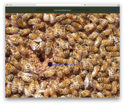 WordPress theme Elyn - strongbees.com