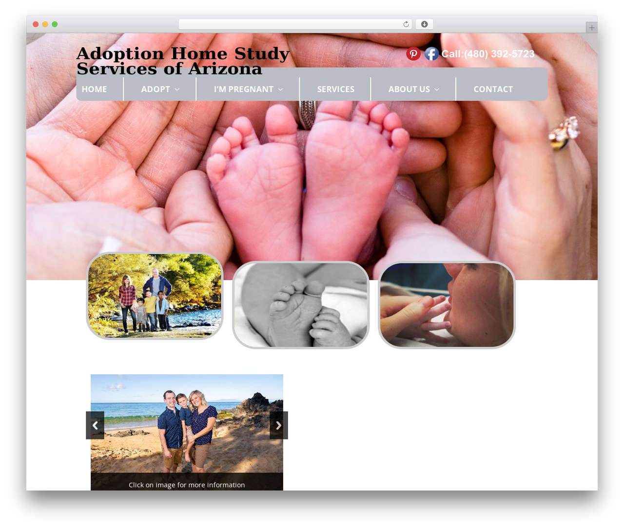 WPEX Elegant WordPress theme - azadoptionservices.org WPEX Elegant WordPress theme - azadoptionservices.org