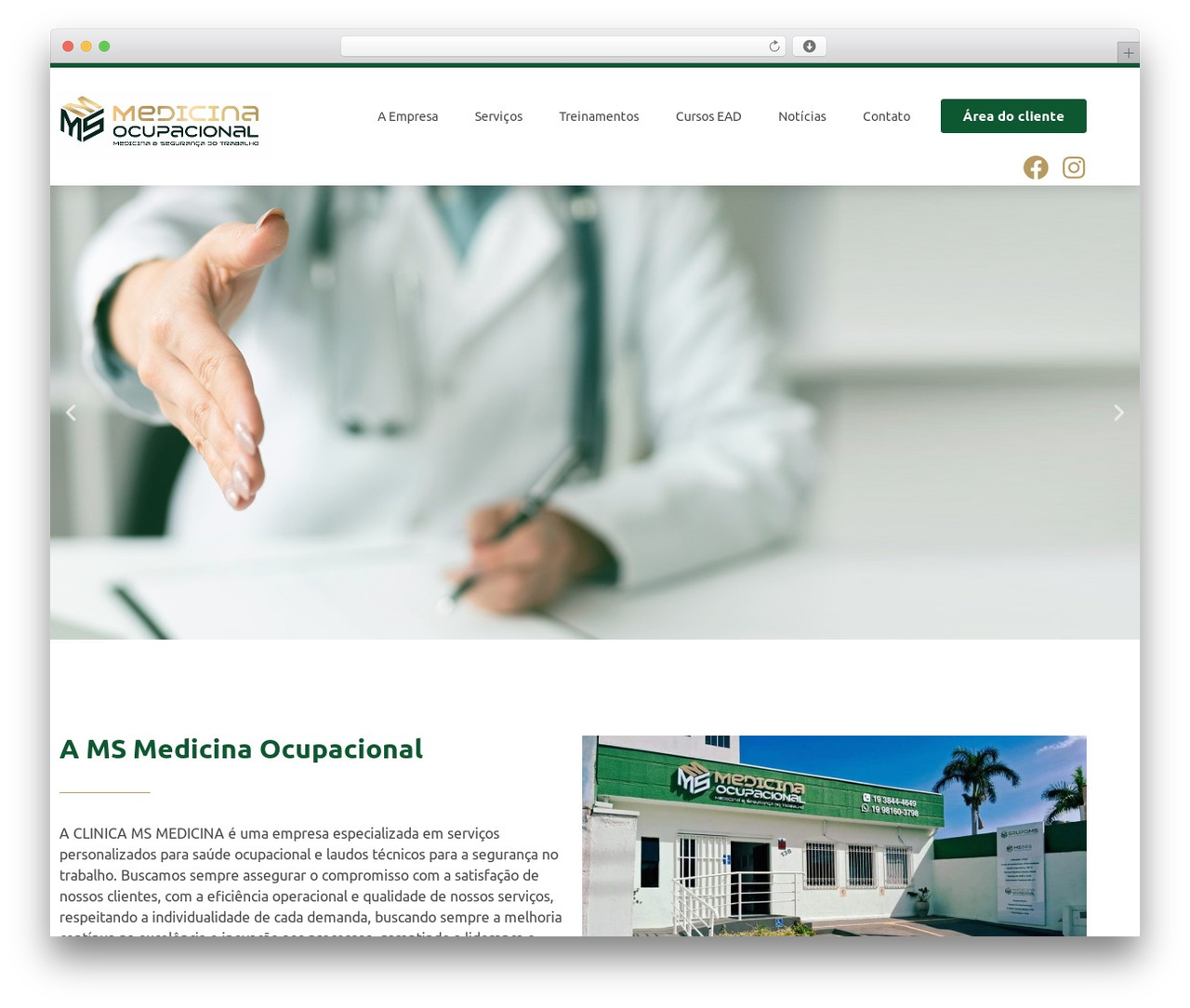 Hello Elementor WordPress theme - msconsultoriaseg.com.br
