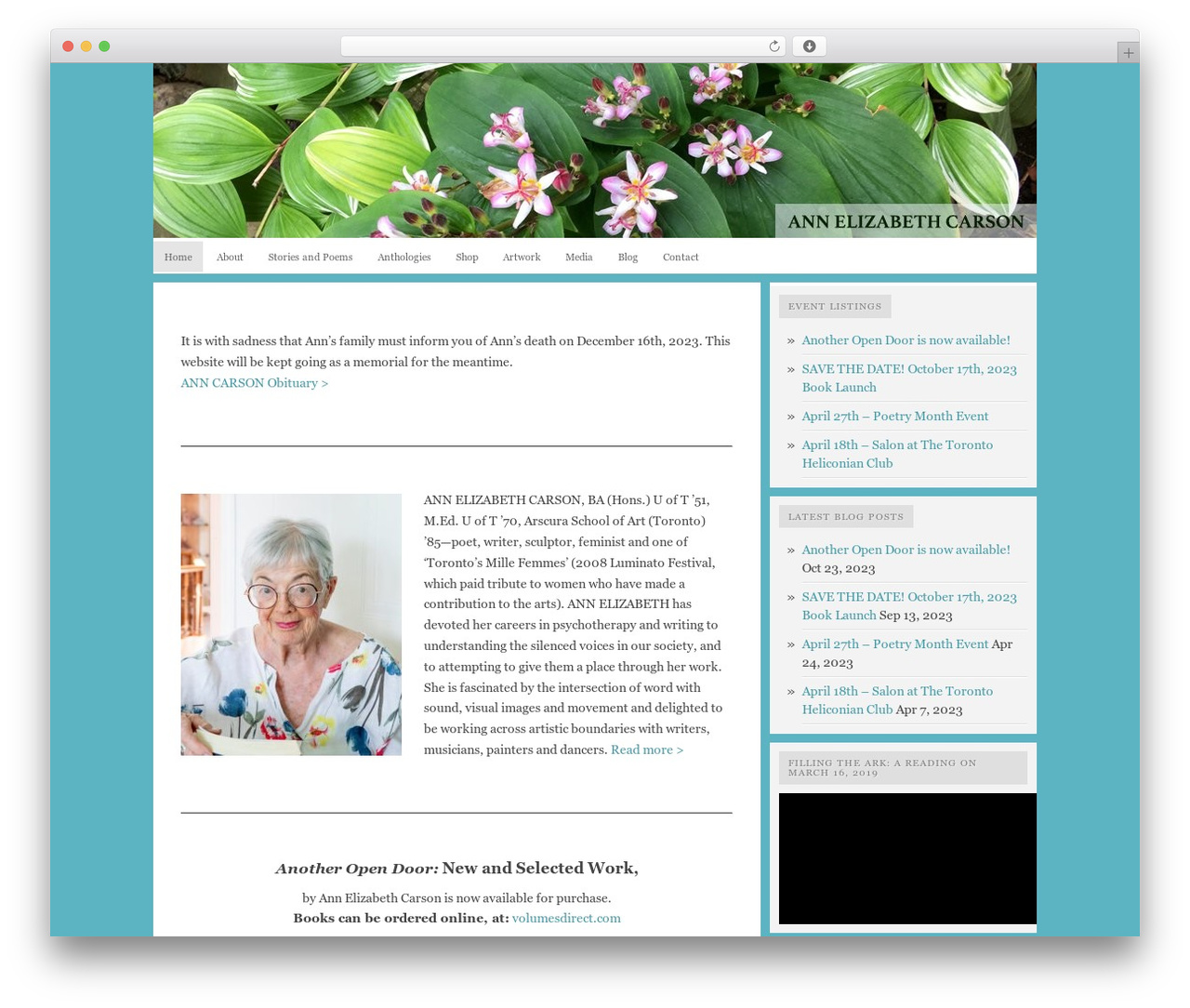 Comet premium WordPress theme - anncarson.com Comet premium WordPress theme - anncarson.com