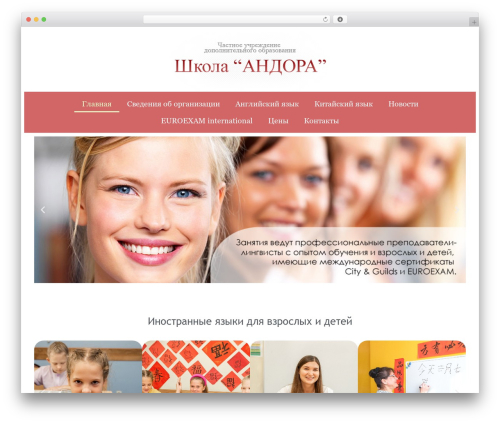 Evolution WordPress theme - andoradv.ru