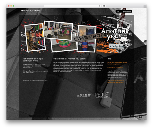 Modularity Lite premium WordPress theme - anotheryousalon.se