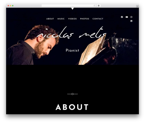 Sonaar theme WordPress - nicolasmelis.com