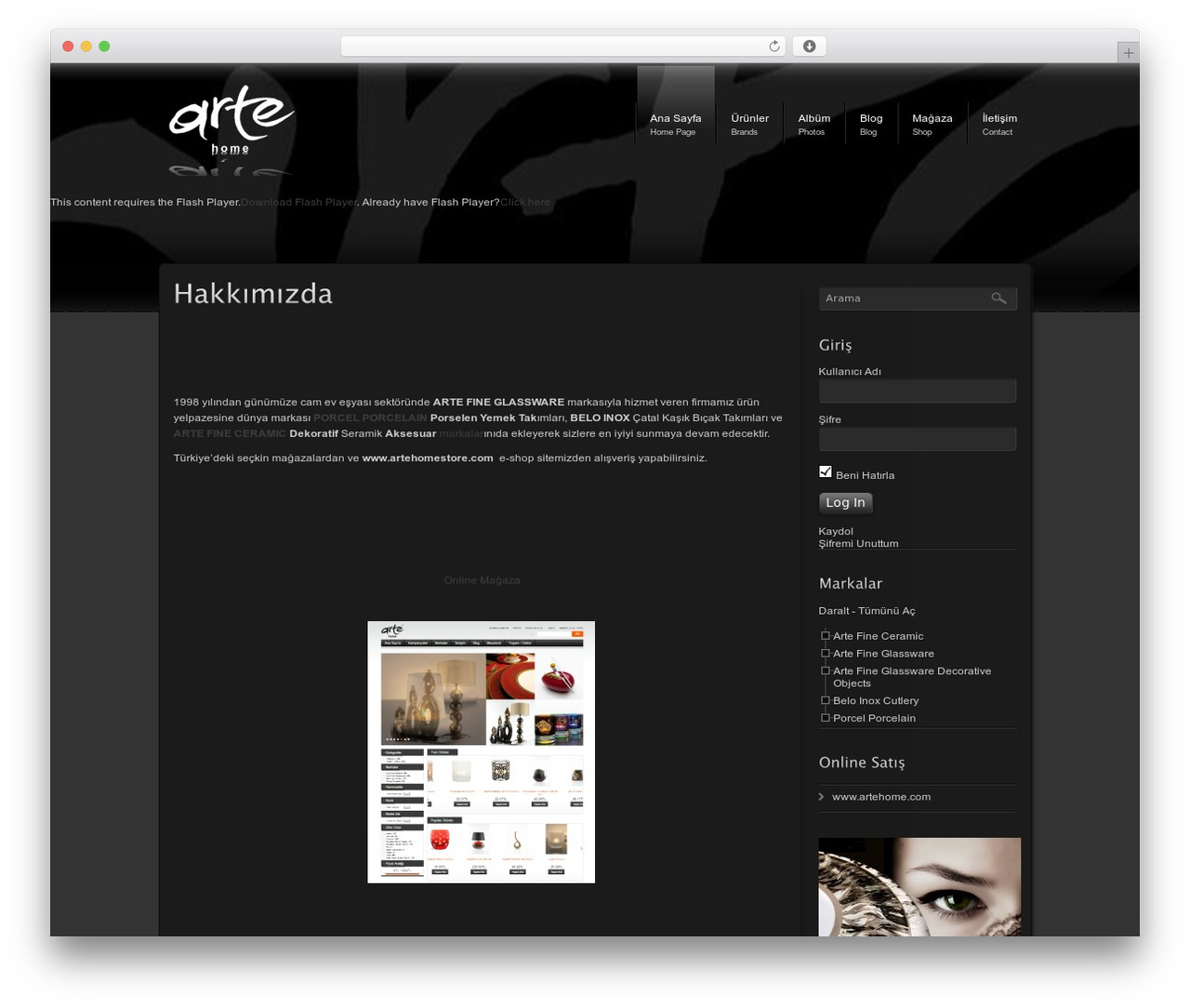DynamiX WordPress theme design - artehome.com