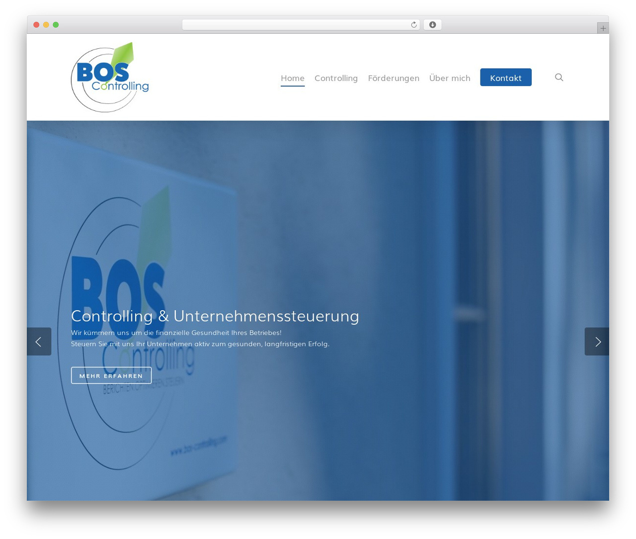 Salient WordPress theme - bos-controlling.com