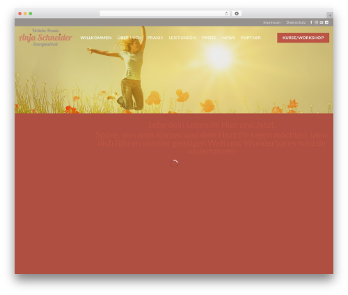 Dsgvo pixelmate premium WordPress plugin - urliebe.ch