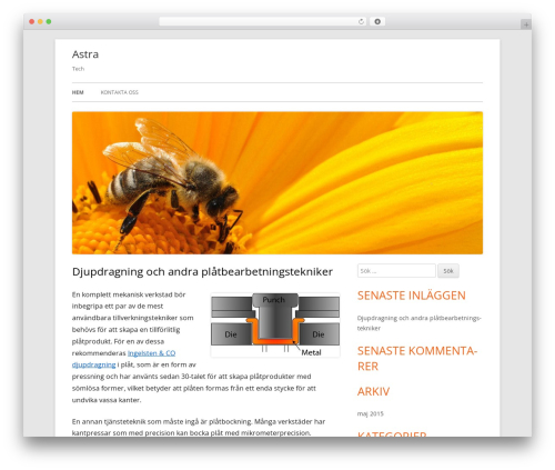 Tiny Framework WordPress theme download - astratech.se