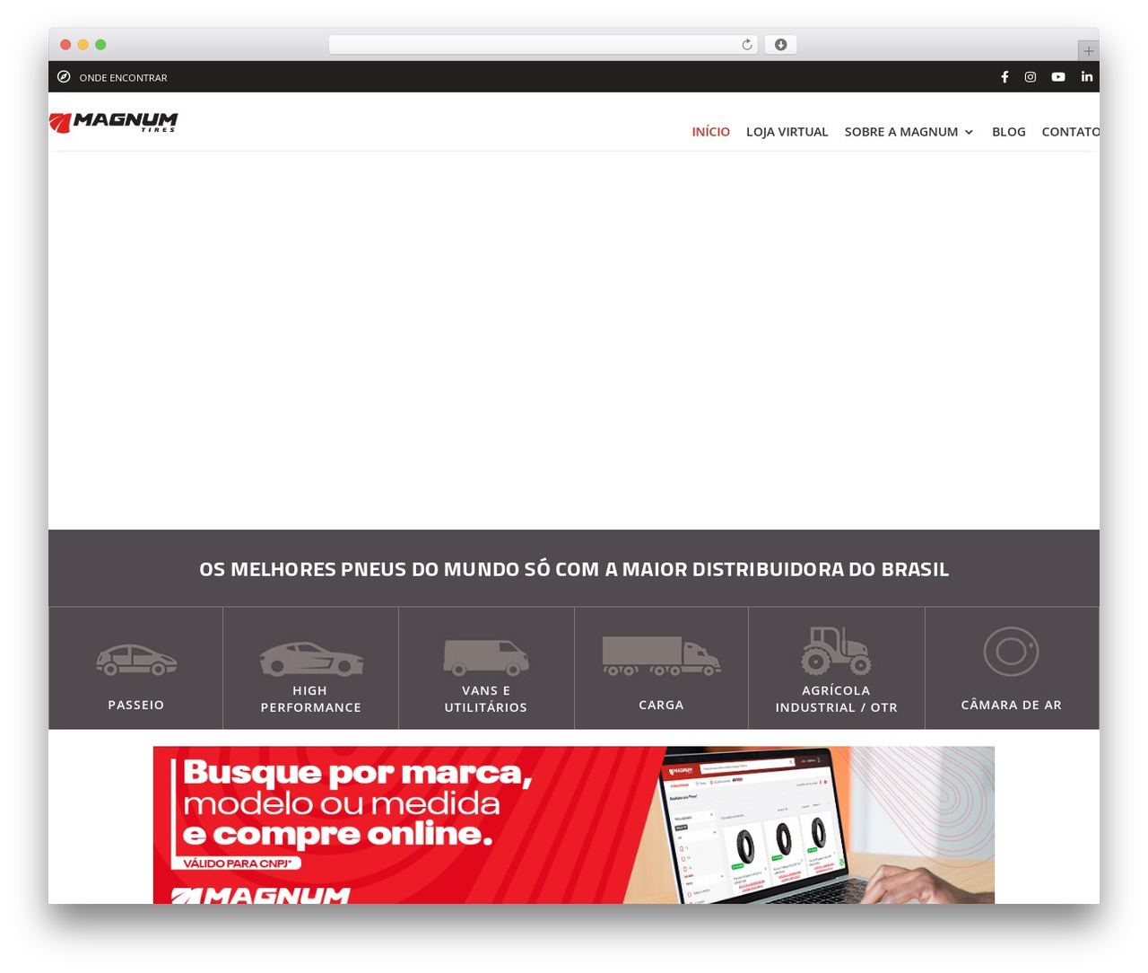 WordPress theme Divi - magnumtires.com.br