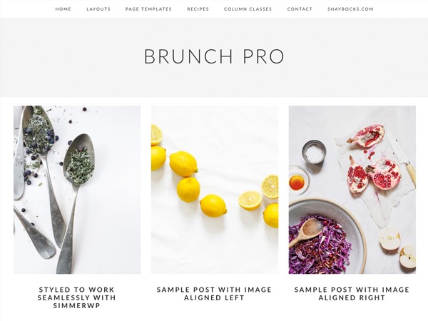Brunch Pro Theme WordPress theme Brunch Pro Theme WordPress theme