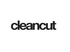 CleanCut WordPress template for business