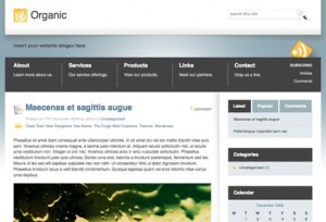 Organic Theme theme WordPress by The Forge Web Creations