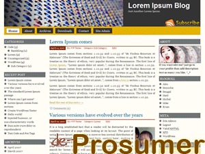 Prosumer WordPress website theme by Nurudin Jauhari