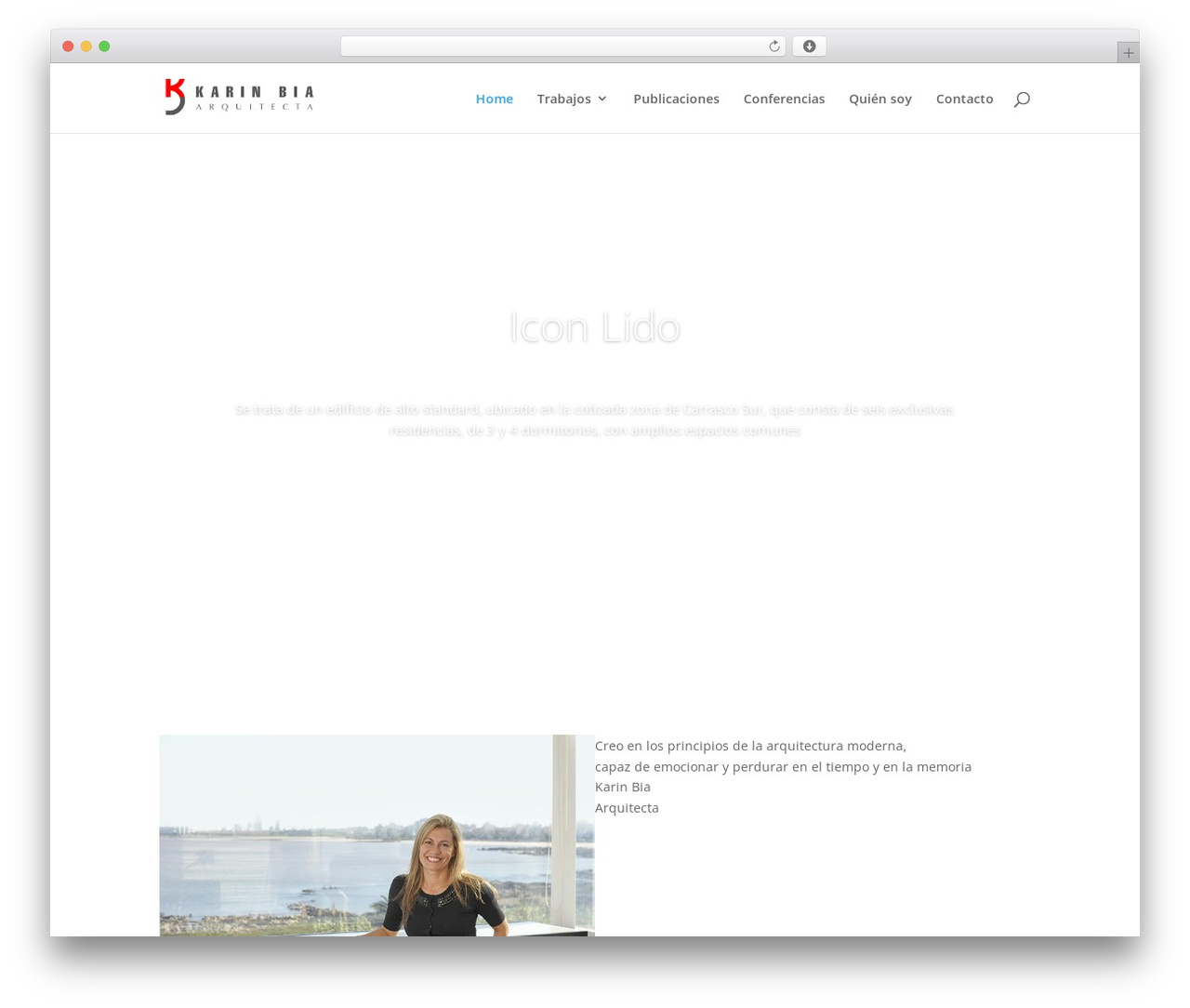 Theme WordPress Divi - karinbia.com