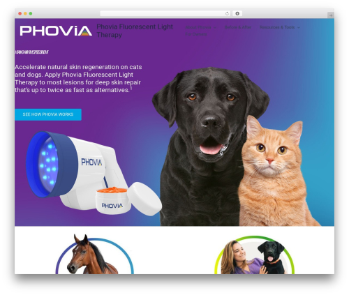 PDF Viewer & 3D PDF Flipbook – DearPDF (dearpdf-lite) free WordPress plugin - phoviausa.com