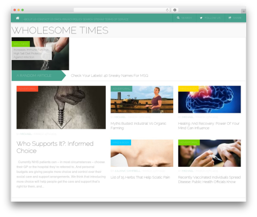 WordPress theme Codilight - wholesometimes.com