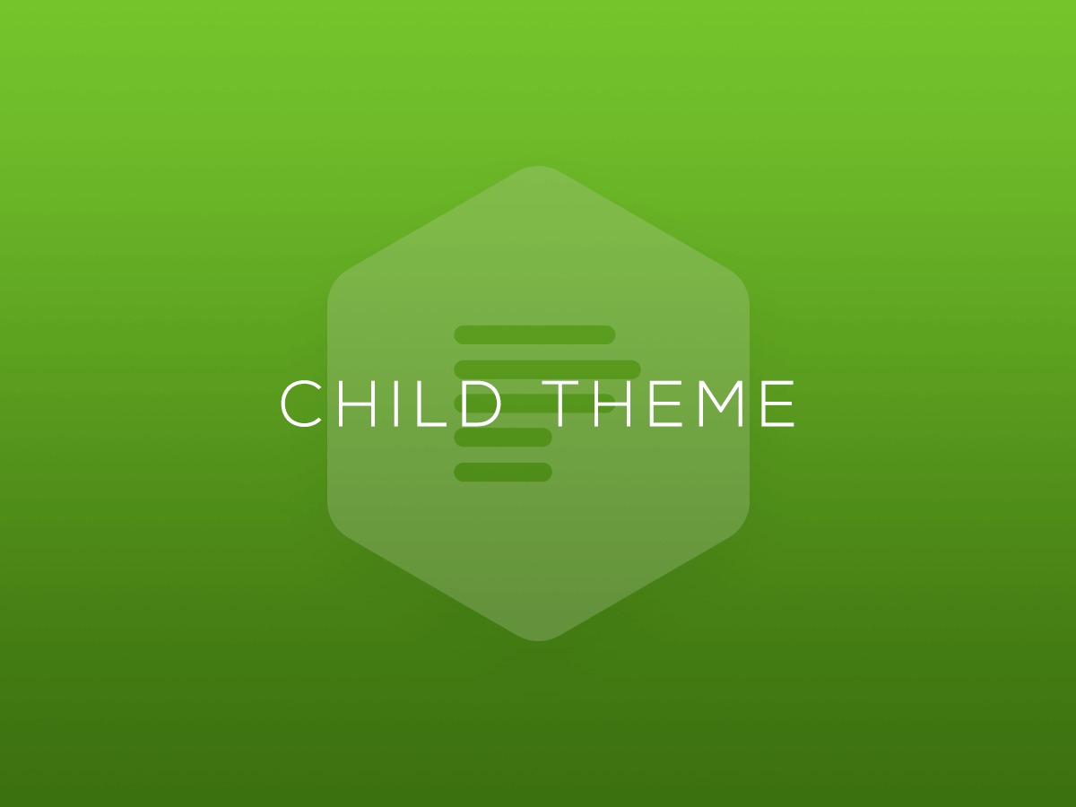 WordPress theme Pro – Child Theme