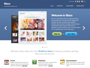 WordPress website template Bizco