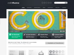 WP theme Cold Theme