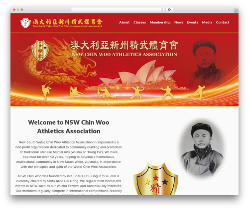 Barebones WordPress theme design - nswchinwoo.com
