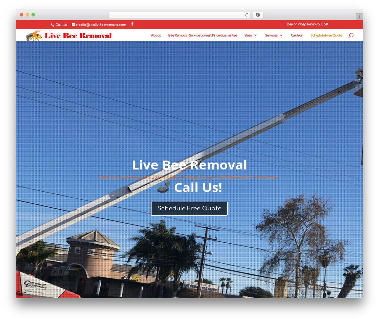 Divi theme WordPress - usalivebeeremoval.com Divi theme WordPress - usalivebeeremoval.com