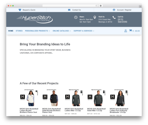Divi WordPress theme - hyperstitch.com